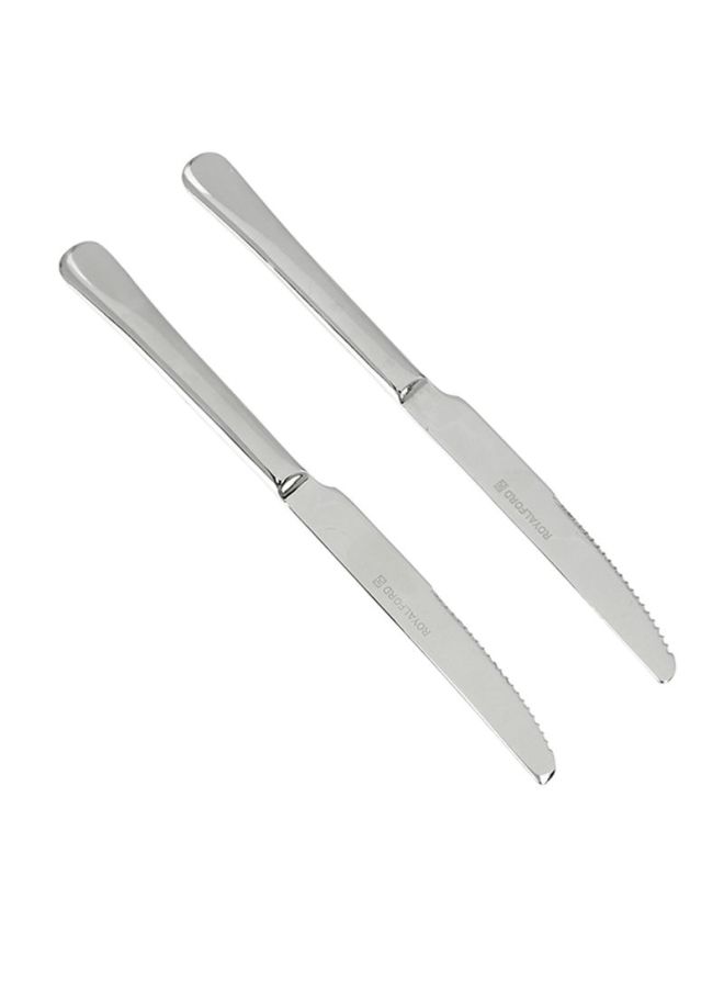 2-Piece Steak Knife Set Silver - v1615646499/N26244029A_3