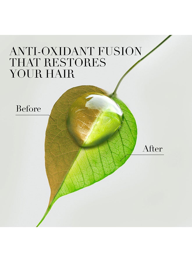 Herbal Essences - Shampoo And Conditioner With Argan Oil Of Moroco 400ml Pack Of 3 - Image 1