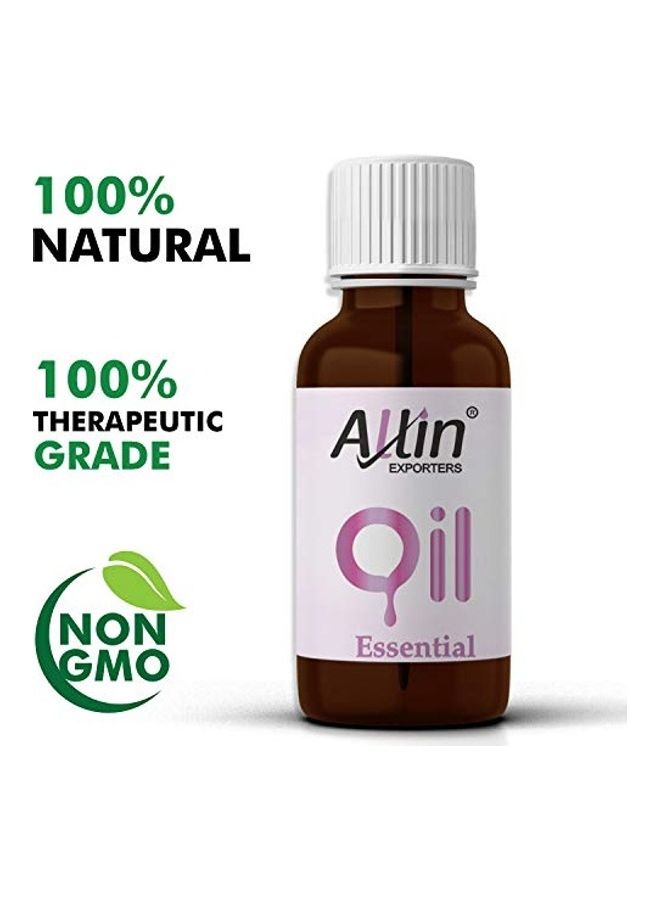 Allin Exporters Frankincense Oil 30ml  - Image 4
