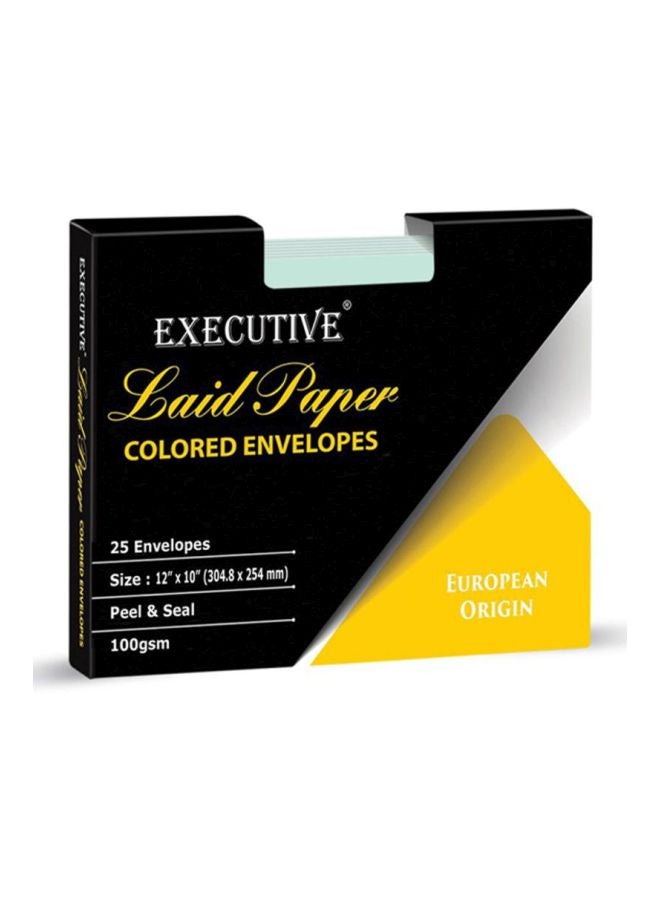 FIS 25-Piece Executive Laid Paper Peel And Seal Envelope Set Green - Image 2