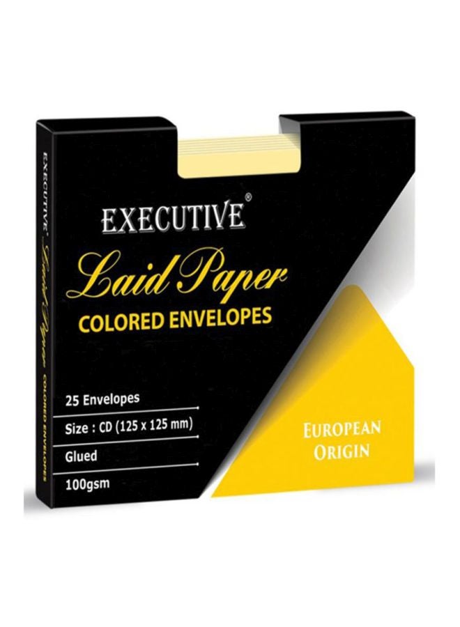FIS 25-Piece Executive Laid Paper CD/DVD Glued Envelope With Window Set Cream - Image 2