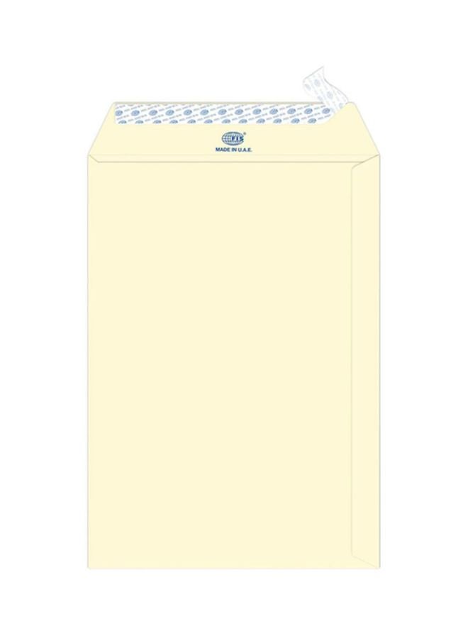 FIS 25-Piece Executive Laid Paper Peel And Seal Envelope Set Camille White - Image 1