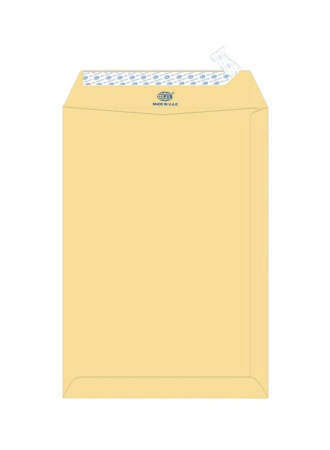 FIS 50-Piece Recycled Peel And Seal Envelope Set Brown - Image 1
