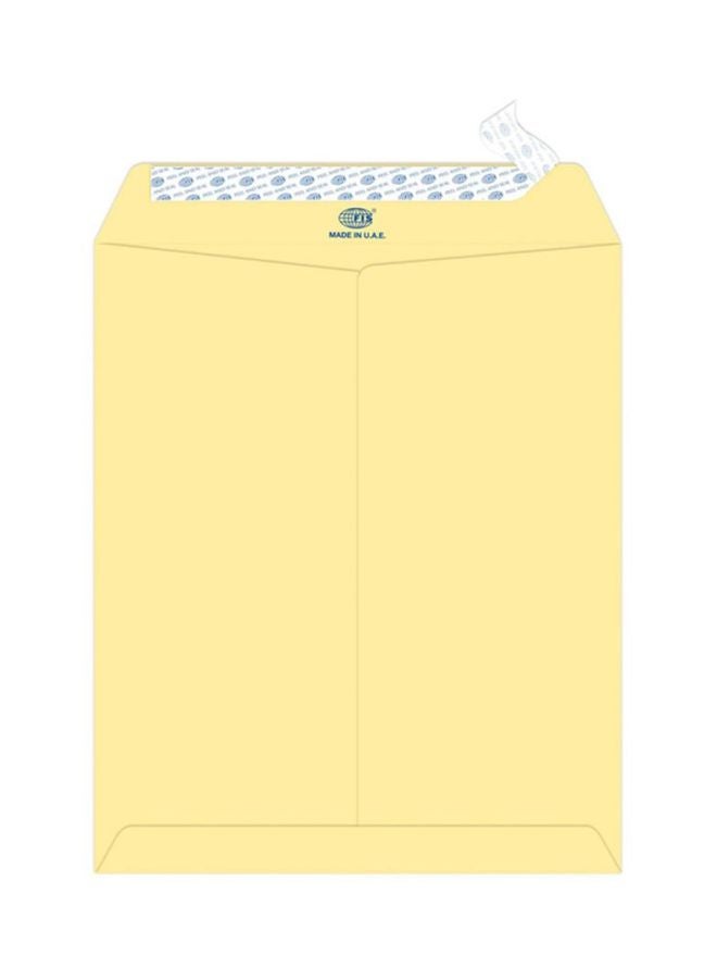 FIS 25-Piece Executive Laid Paper Peel And Seal Envelope Set Cream - Image 1