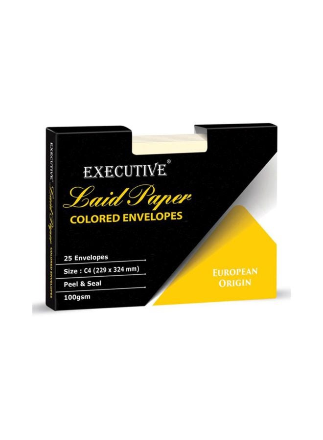 FIS 25-Piece Executive Laid Paper Peel And Seal Envelope Set Yellow - Image 2