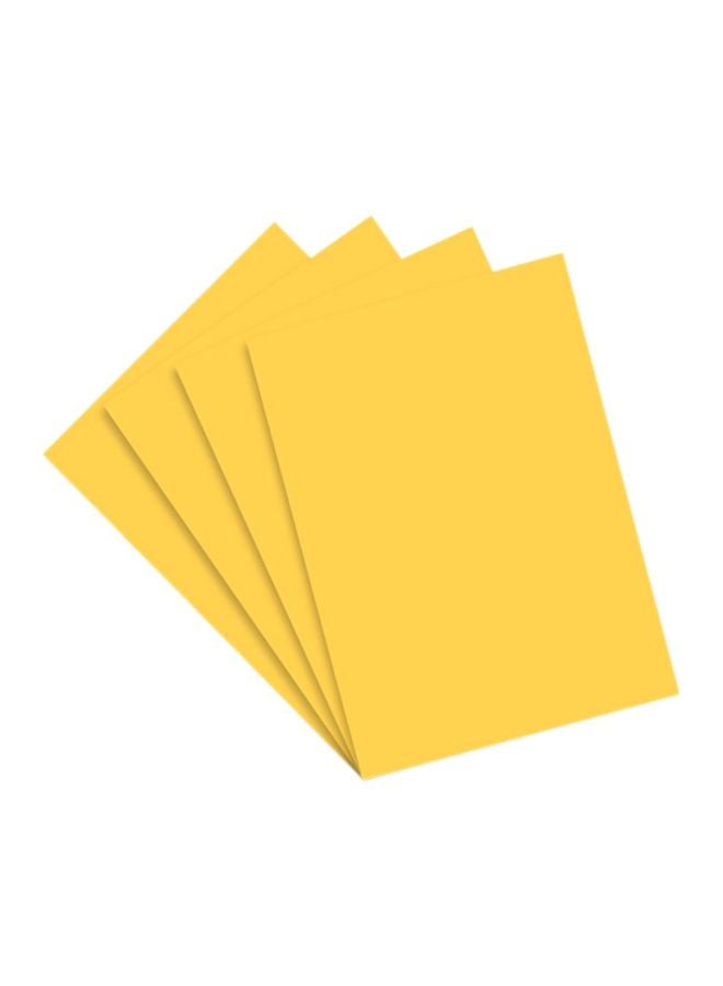 FIS 100-Piece Colored Card  - Image 1