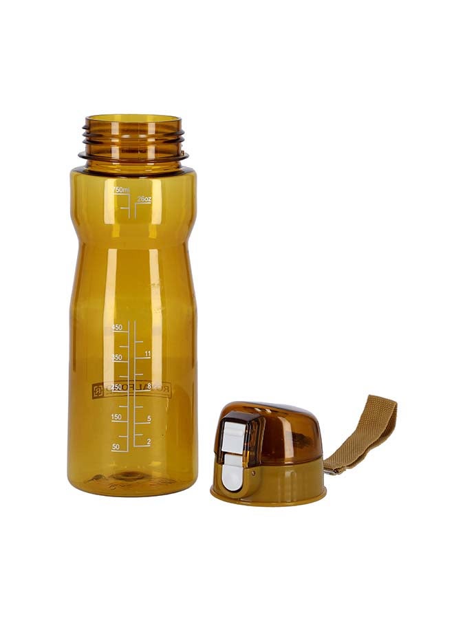 رويال فورد زجاجة مياه أسمر مصفر 750ملليلتر - Image 3