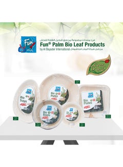 Fun 10-Piece Bio Plates Brown 10inch  - Image 3