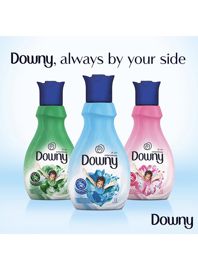 Concentrate Fabric Softener Valley Dew 1L Pack Of 3