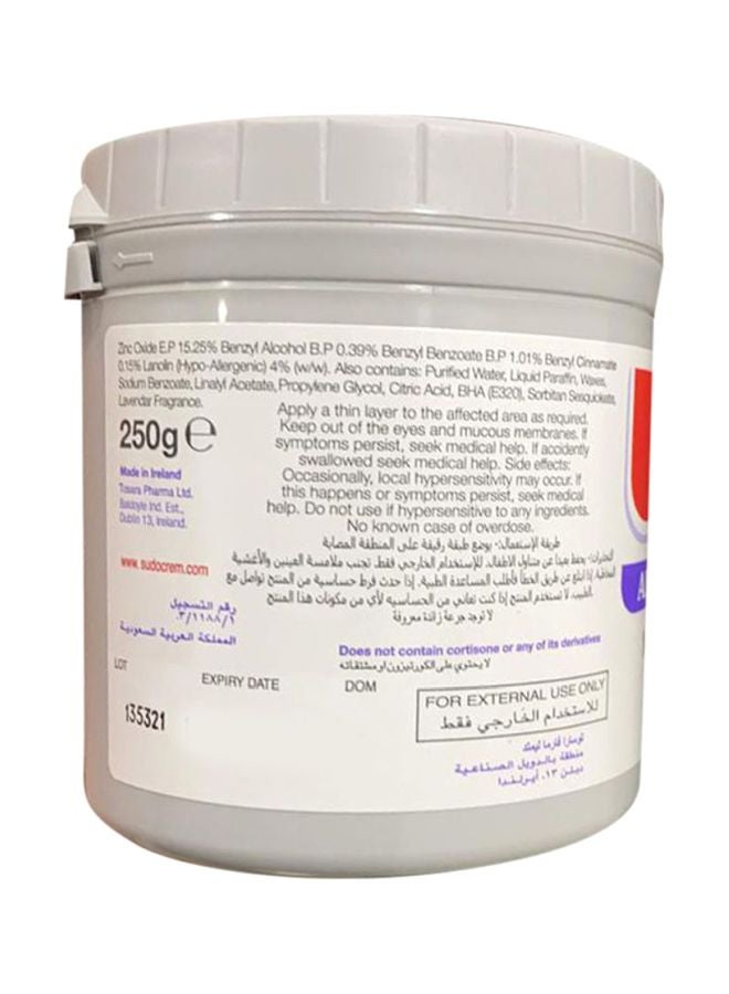 Sudocrem Antiseptic Healing Cream - 250g  - Image 2