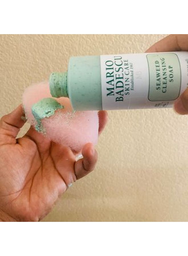 Seaweed Cleansing Soap 427ml