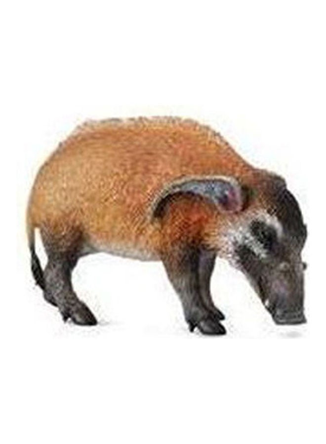 CollectA Red River Hog Miniature Animal Figure Toy