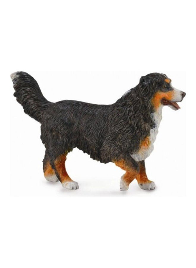 CollectA Bernese Mountain Dog