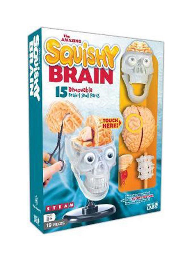 The Amazing Squishy Brain hardcover english - 2019 