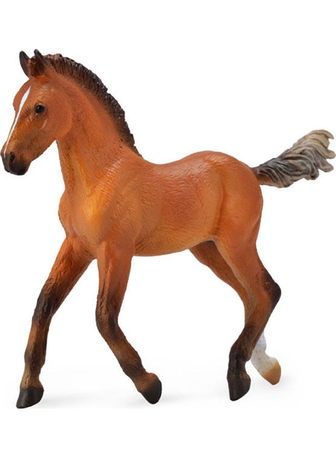 CollectA Hanoverian Foal 