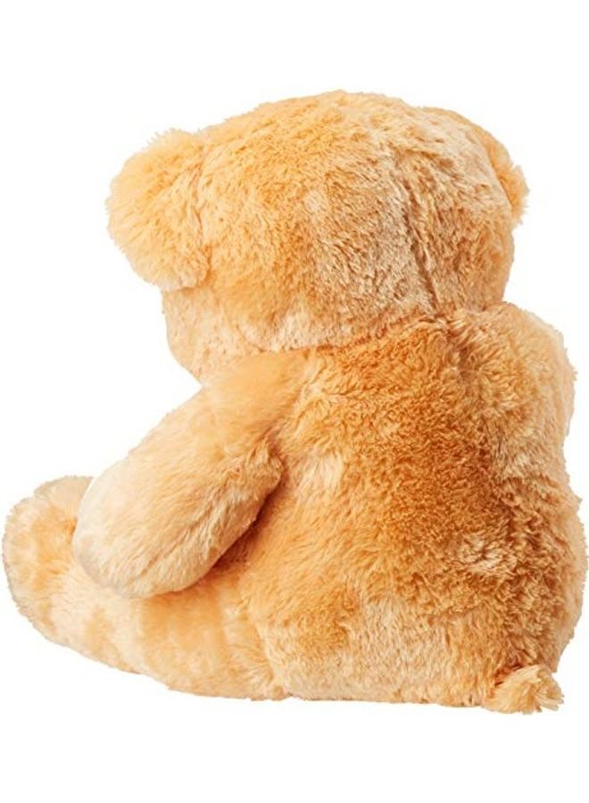 Stuffed Soft Cute Munchy Teddy Bear - v1616135095/N45445258A_3