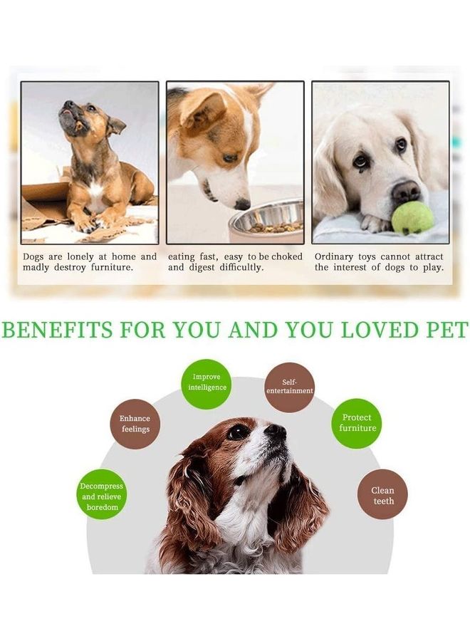 XiuWoo Pet Slow Feeder Bowl Multicolour 9x1.26inch - Image 4