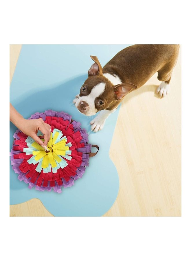 Pet Snuffle Feeding Training Mat Multicolour