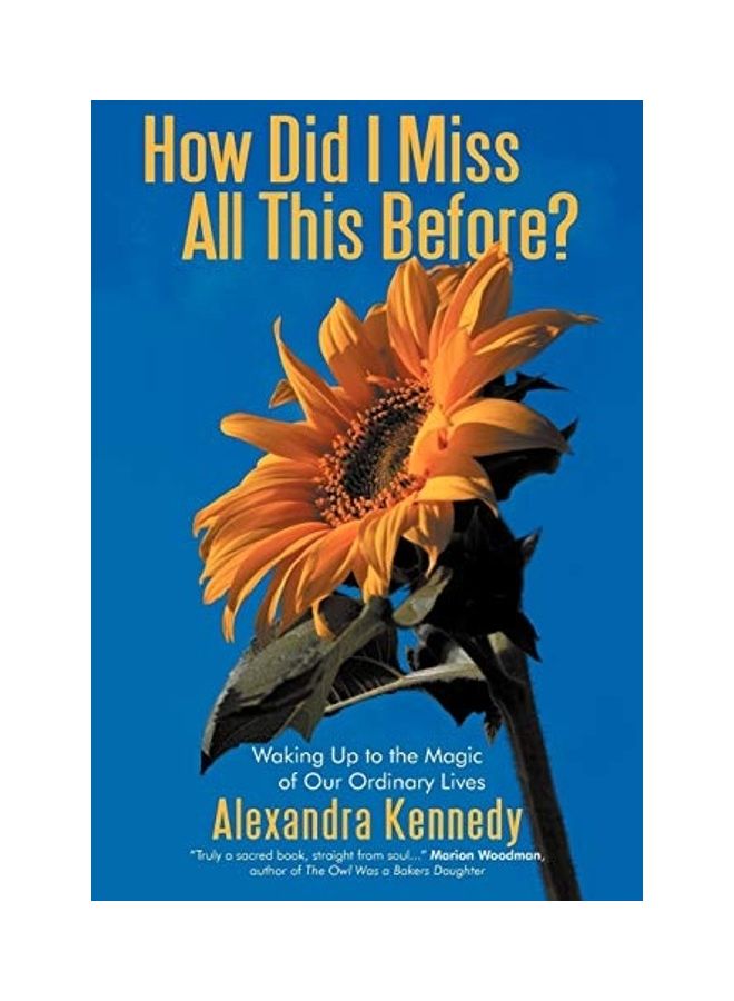 How Did I Miss All This Before?: Waking Up To The Magic Of Our Ordinary Lives paperback english 