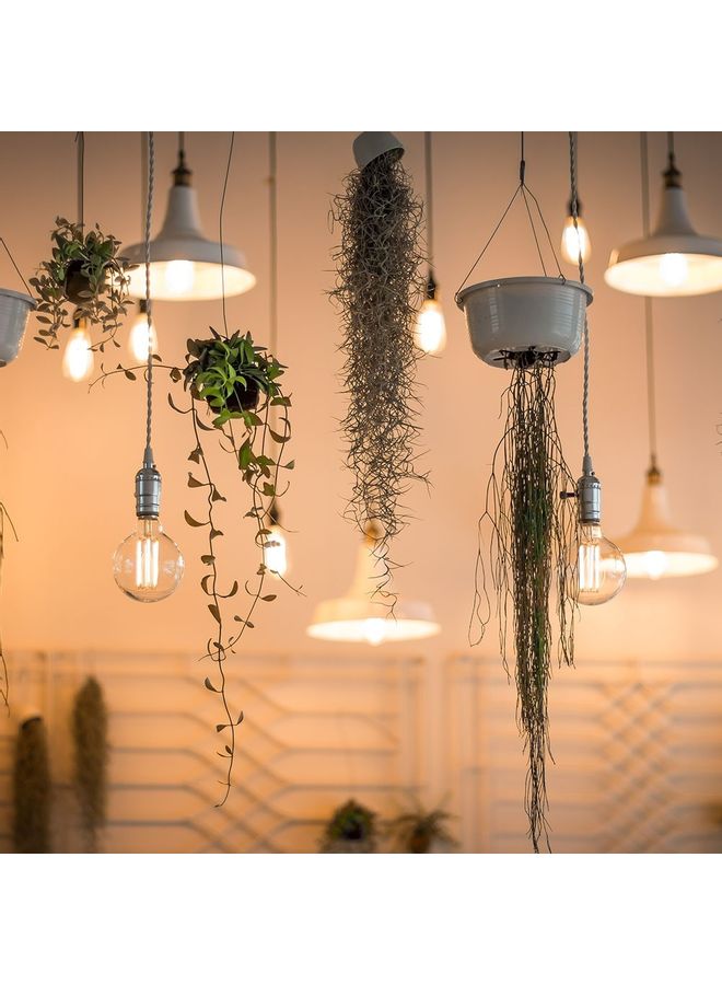 مصباح طراز إديسون أصفر - Image 2