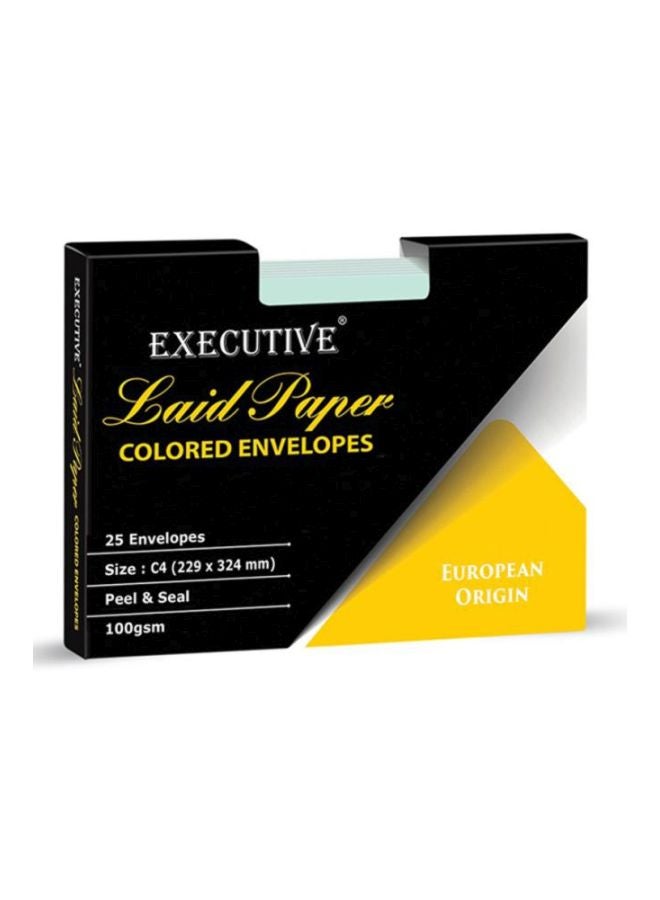 FIS 25-Piece Executive Laid Paper Peel And Seal Envelope Set Green - Image 1