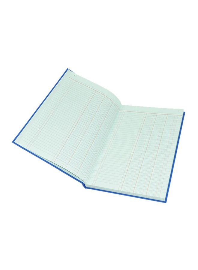 FIS Cash Book Blue - Image 2