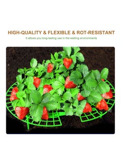 Generic 10-Piece Strawberry Stand Frame Holder Blue  - Image 2