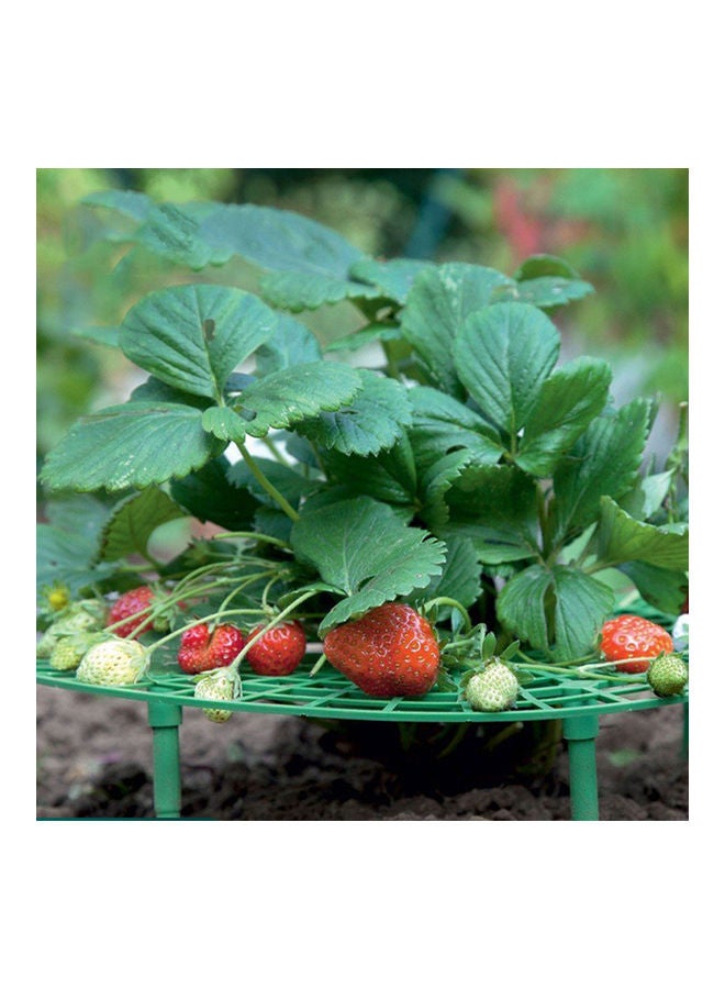 Generic Strawberry Stand Frame Holder Blue  - Image 5