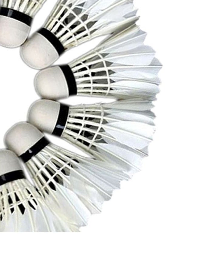 بيوينتي مجموعة كرات الريشة مكونة من 12 قطعة 2.1بوصة - Image 2