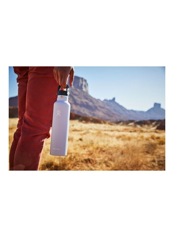 Generic Stainless Steel Water Bottle 621ml  - Image 5