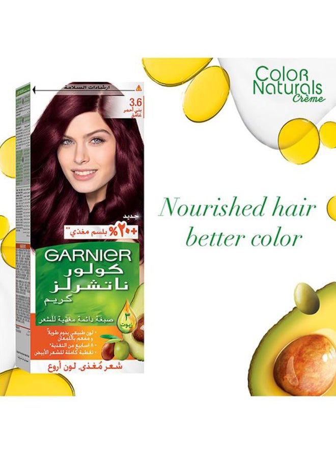 Garnier - Color Naturals Permanent Hair Color Cream Packaging may vary 3.6 Deep Red Brown - Image 1