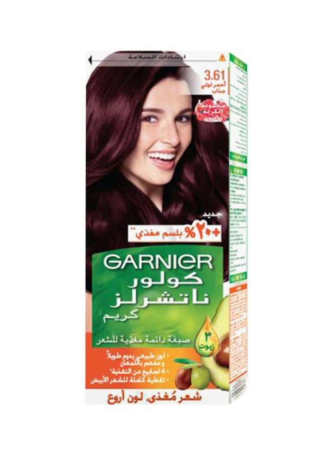 Garnier Color Naturals Hair Colour 3.61 Luscious Blackberry 112ml  - Image 1
