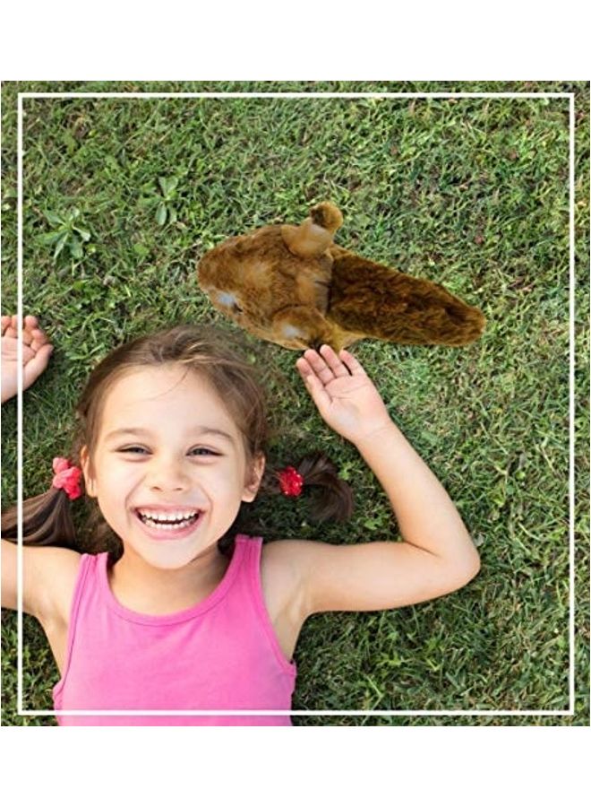 بازلد دمية بشكل سنجاب محشوة مريحة - Image 4