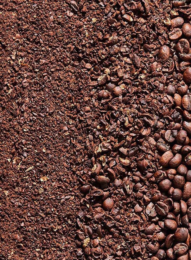 Kirkland Signature - Honduras Whole Coffee Bean 907grams - Image 1