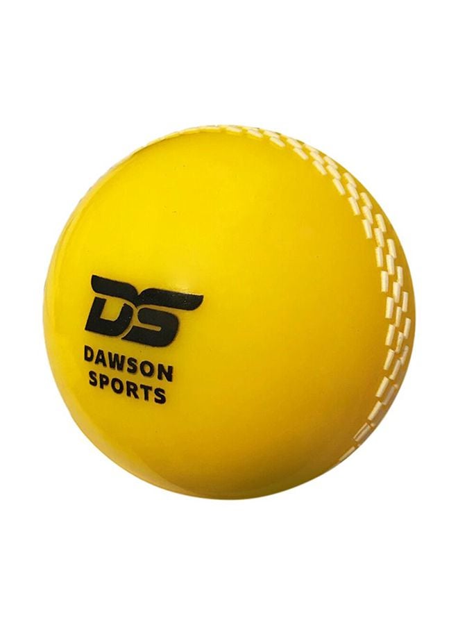 DAWSON SPORTS - Wind Ball - Image 1