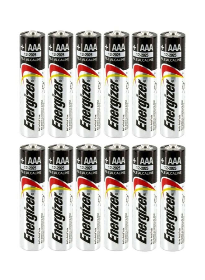 Energizer 12-Piece Max AAA Battery Set Black/Silver - Image 1