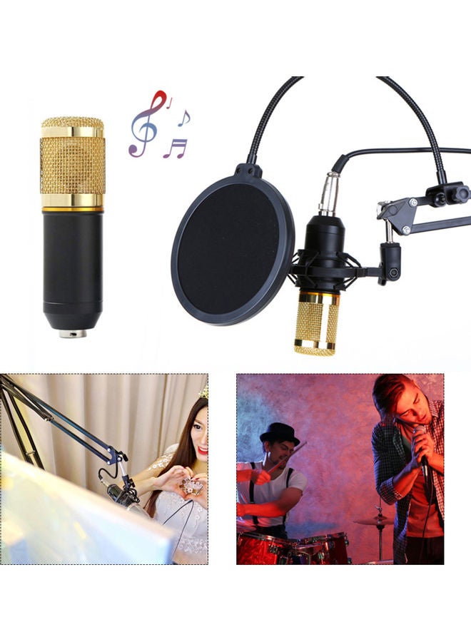 Multifunctional Live Sound Card And Suspension Microphone Kit - Image 3