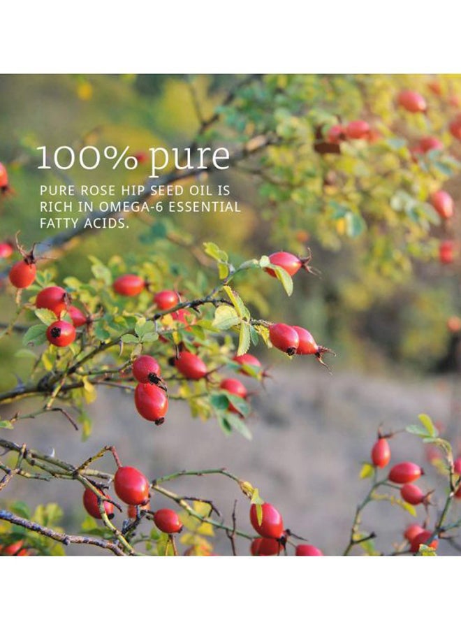 ناو فودز زيت بذور ثمر الورد 30ملليلتر - Image 2