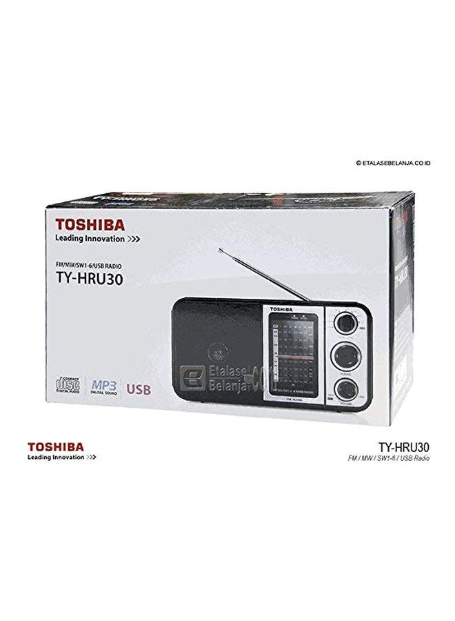 راديو يحتوي على FM/AM/SW/USB TY-HRU30 أسود/ رمادي - v1616937799/N13587328A_3