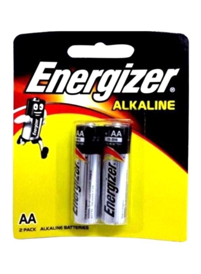 Energizer 40-Piece Alkaline AA Battery Set Silver/Black