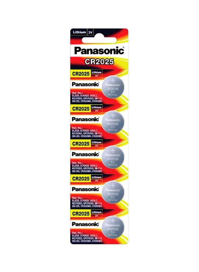 5-Piece Lithium Type Battery Set Silver