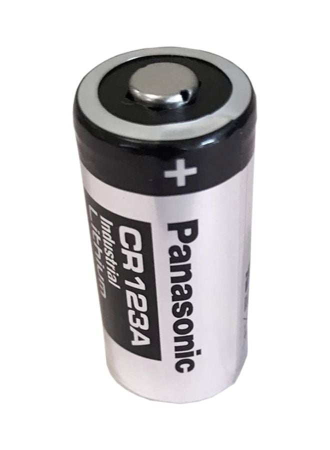 Panasonic 10-Piece Lithium Household Battery Set Silver/Black - Image 1