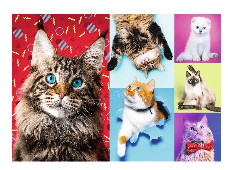 Trefl 100-Piece Happy Cats Puzzle  - Image 2