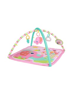 Bright Starts Fanciful Flowers Activity Gym 58.42x5.33x54.61cm  - Image 1