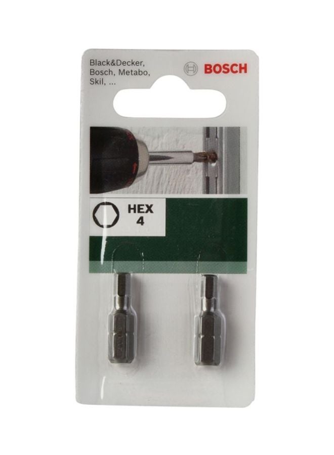 2-Piece Hammer Drill Bit Silver