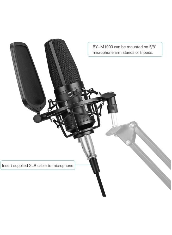 BOYA - Large Diaphragm Studio Microphone M1000 Black - Image 1