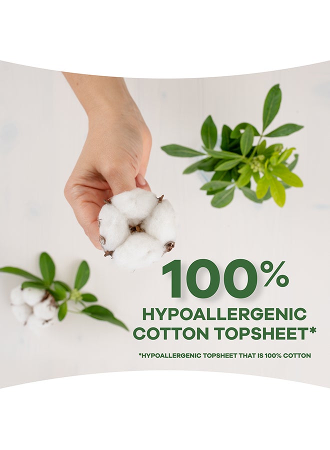 Hypoallergenic Cotton Sanitary Pads With Wings 18 Count Multicolour
