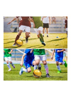 Leijiaer Adult Training Football 19cm  - Image 2