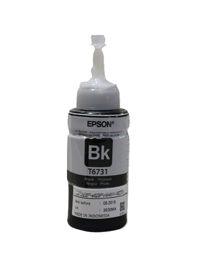 EPSON T6731 Cartridge Ink Bottle T6731 Black  - Image 1