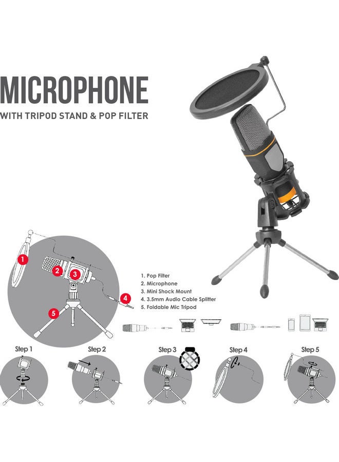 Recording Microphone Black - v1617514050/N46028063A_4